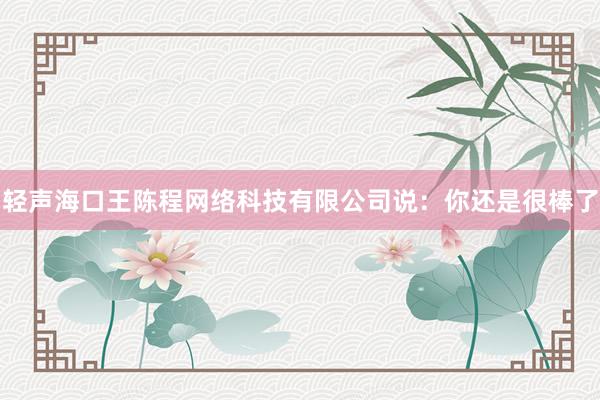 轻声海口王陈程网络科技有限公司说：你还是很棒了