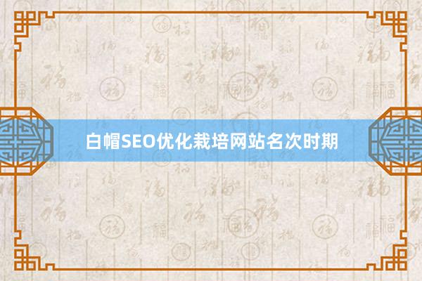 白帽SEO优化栽培网站名次时期
