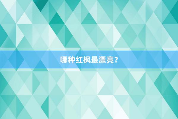 哪种红枫最漂亮？