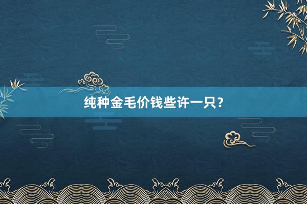纯种金毛价钱些许一只？