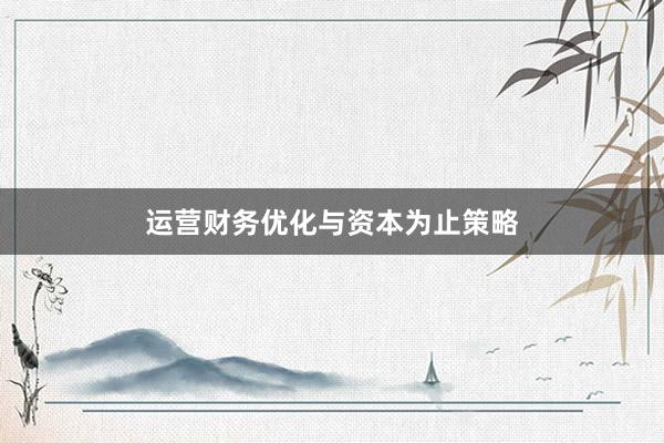 运营财务优化与资本为止策略